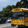 Block 14 neuron 203, positive rank 1: school bus (+6.75)