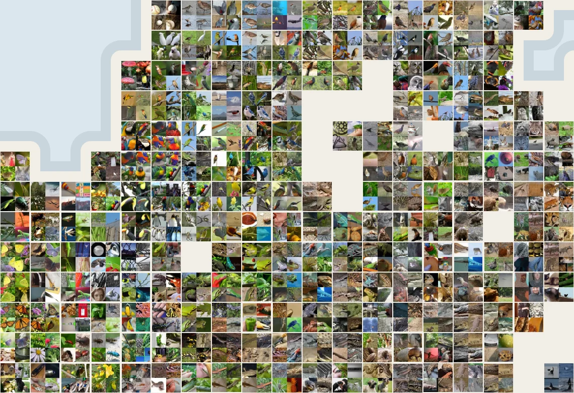 Close-up of the last stage where the Birds, Bugs and Lizards districts meet. Each tile is a small mosaic of photos: parrots and songbirds, butterflies and beetles, lizards and snakes.