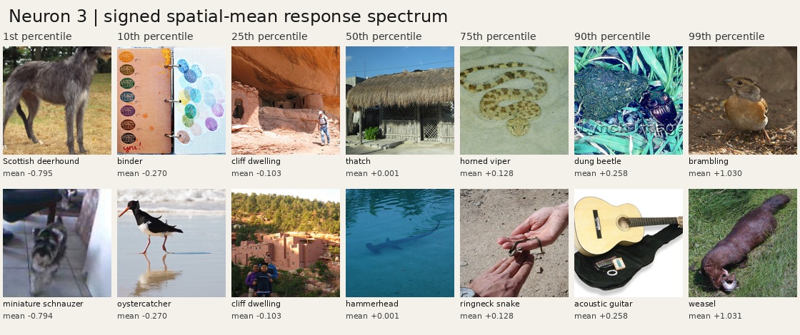 Signed spatial-average response spectrum for the selected neuron