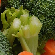 broccoli; positive rank 1; activation +13
