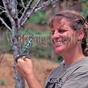 woman holding a chameleon