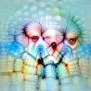 4d:167 visualized freely: dog faces