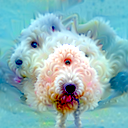 4d:295 visualized freely: a white dog