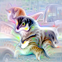 4d:417 visualized freely: a kitten