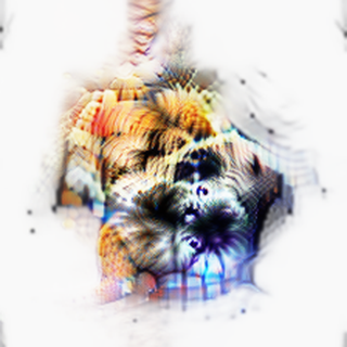 ConvNeXt Microscope — Medium · 7.06M — Neural Networks Are Already Clean